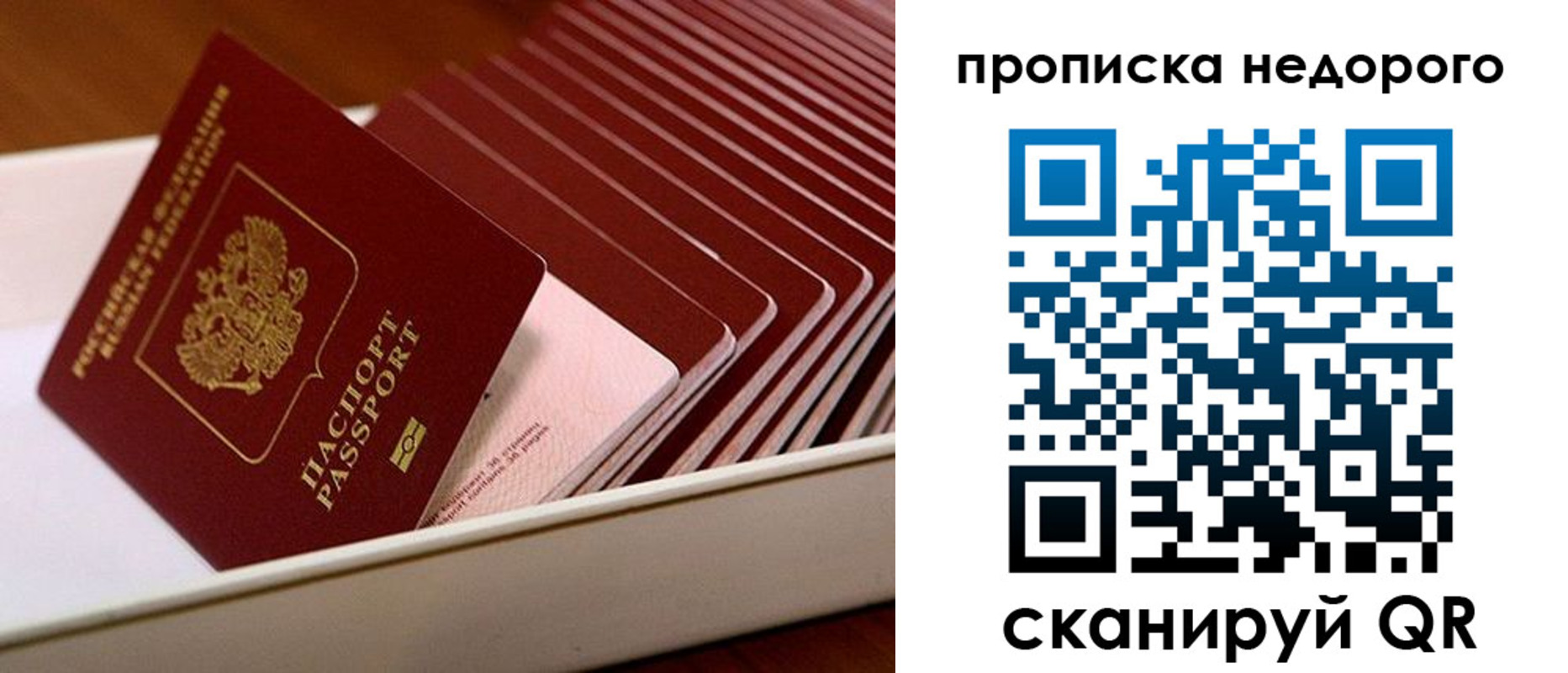 прописка паспорт в Орехово-Зуево